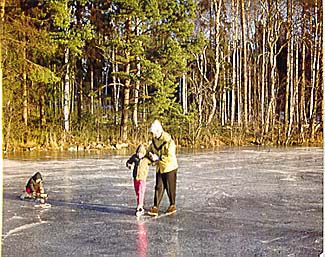 Skridskor på Gallträsket