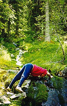 Fjällbäck i Norge