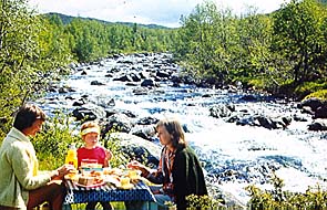 Lunch vid fors