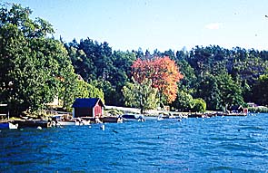 Höstfärger